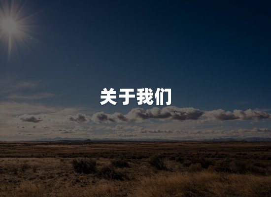 专业团队